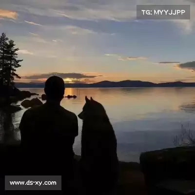 马娇童